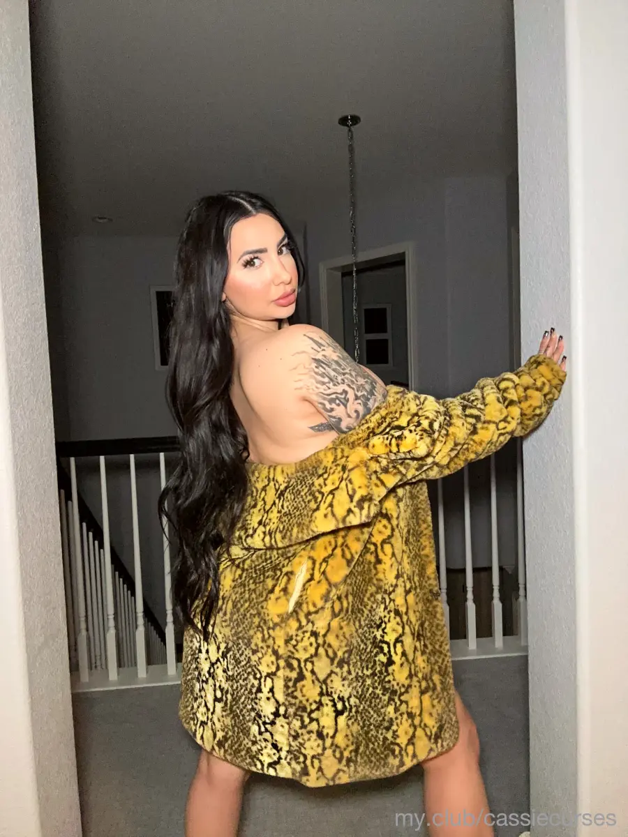 My.Club | Place to Showcase And Enjoy Exclusive Content