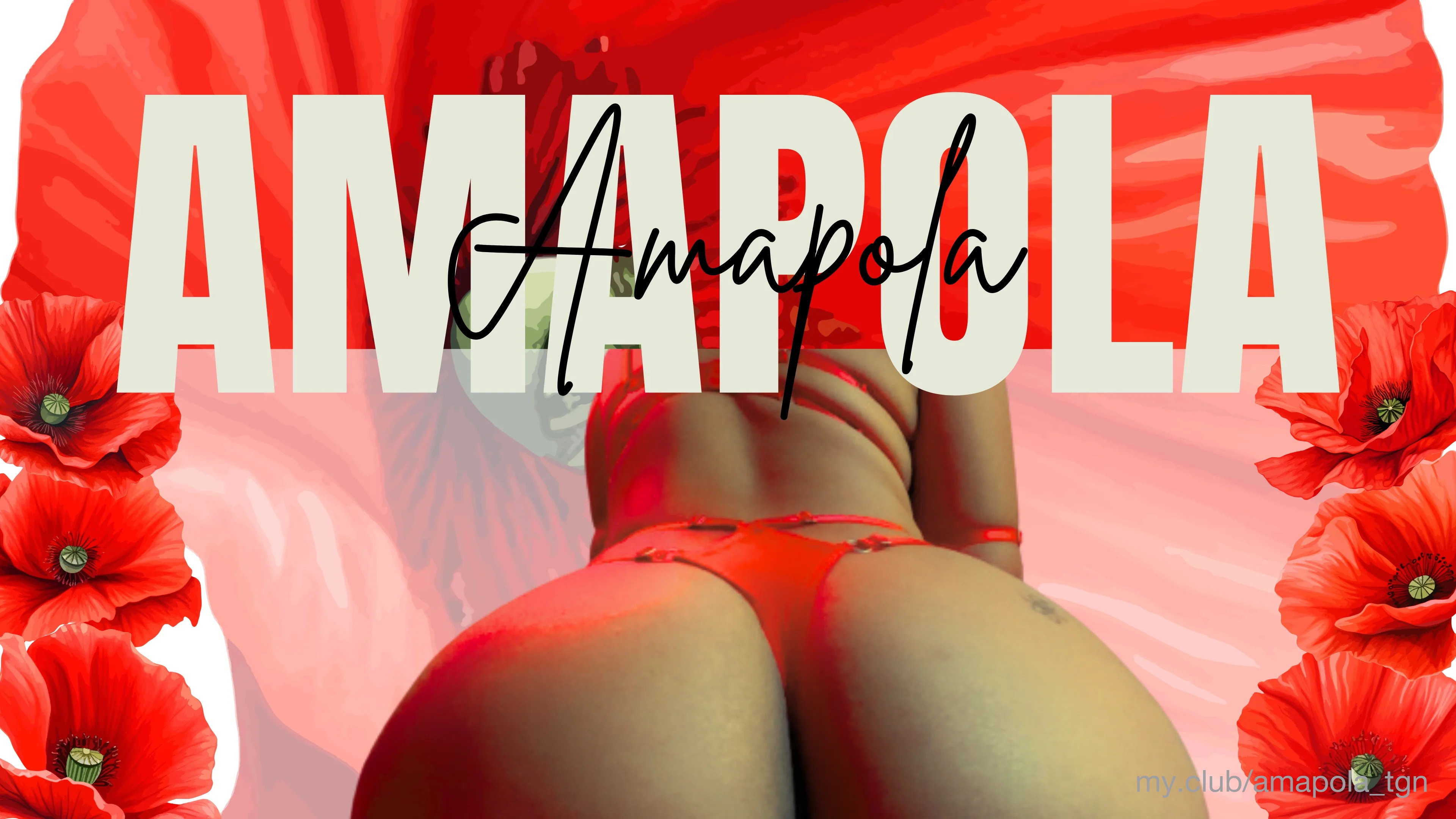 My.Club Place to Showcase And Enjoy Exclusive Content